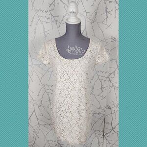 Talula White Ivory Lace Overlay Scoop Neck Sheath Dress